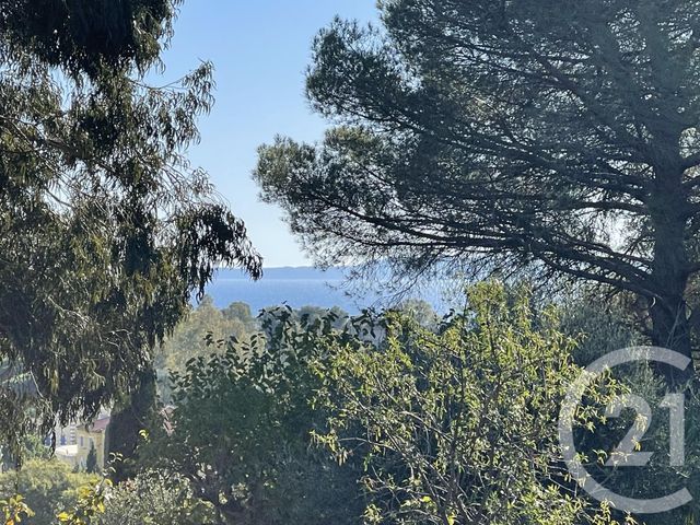 terrain - LE LAVANDOU - 83