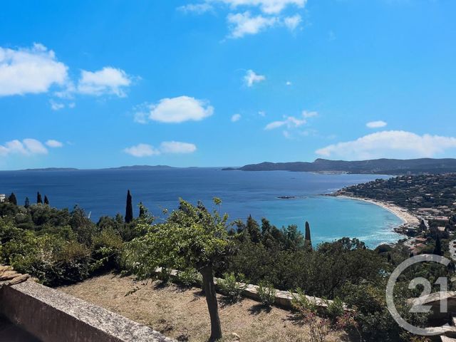  - LE LAVANDOU - 