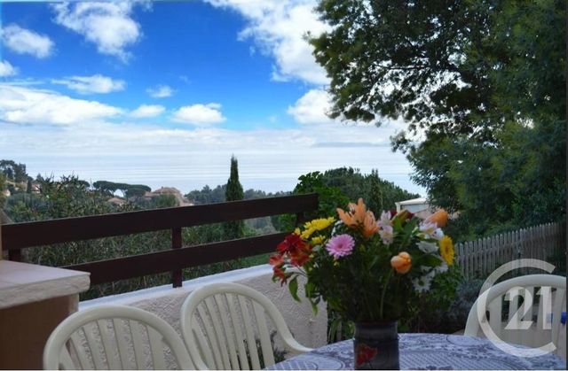 maison - LE LAVANDOU - 83
