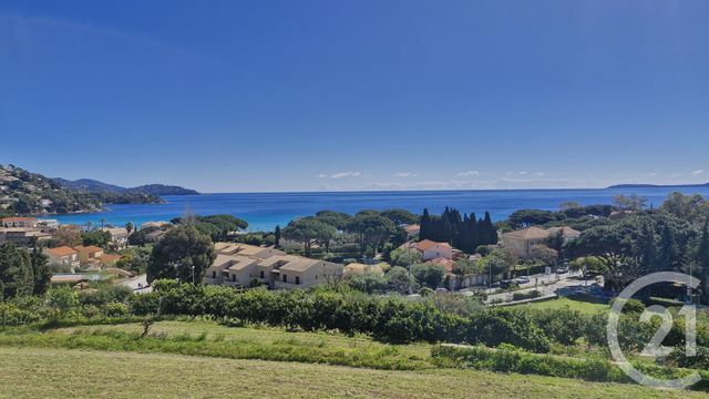 Appartement Studio cabine à vendre - 2 pièces - 25.29 m2 - LE LAVANDOU - 83 - PROVENCE-ALPES-COTE-D-AZUR - Century 21 Net-Immo Agency