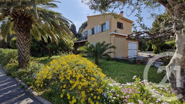 maison - LE LAVANDOU - 83