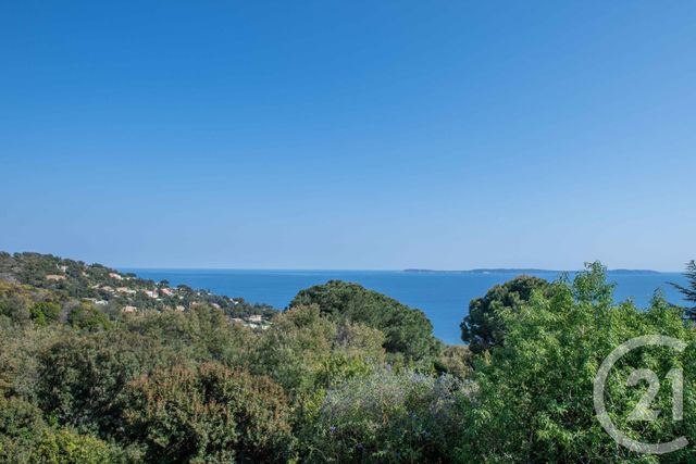 Afficher la photo en grand maison à vendre - 3 pièces - 75.0 m2 - LE LAVANDOU - 83 - PROVENCE-ALPES-COTE-D-AZUR - Century 21 Net-Immo Agency