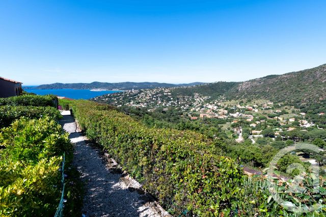 Studio Cabine à vendre - 1 pièce - 25.0 m2 - LE LAVANDOU - 83 - PROVENCE-ALPES-COTE-D-AZUR - Century 21 Net-Immo Agency Studio Cabine à vendre - 1 pièce - 25.0 m2 - LE LAVANDOU - 83 - PROVENCE-ALPES-COTE-D-AZUR - Century 21 Net-Immo Agency