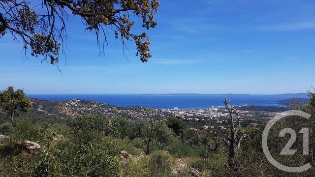 maison à vendre - 11 pièces - 350.0 m2 - BORMES LES MIMOSAS - 83 - PROVENCE-ALPES-COTE-D-AZUR - Century 21 Net-Immo Agency