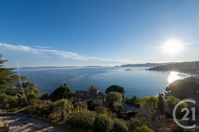  - LE LAVANDOU - 