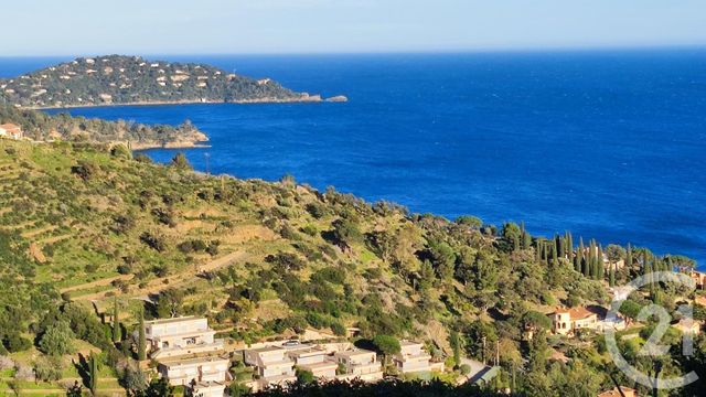 appartement - LE LAVANDOU - 83